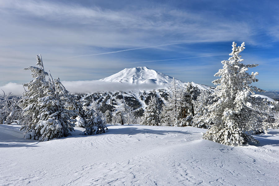 Bend Photograph - Mount Bachelor Winter by Mark Whitt