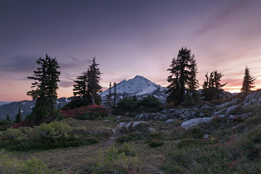 Mount Baker in the North Cascades Photograph by Michael Russell