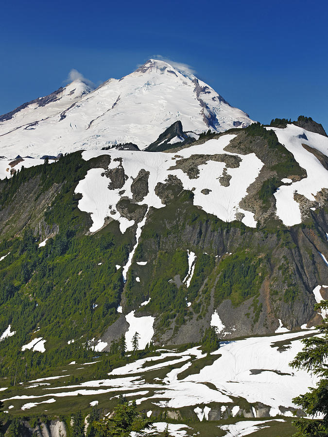Nature Photograph - Mount Baker in the Washington Cascade Mountain Range by Brendan Reals