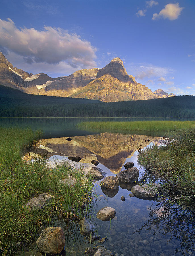 Mount Chephren And Waterfowl Lake Banff Photograph by Tim Fitzharris