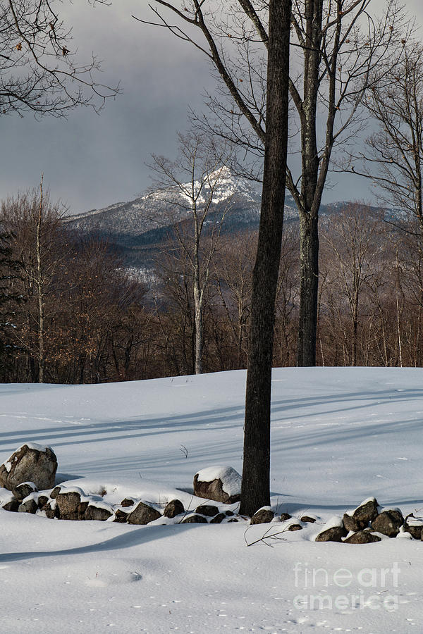 Mount Chocorua, New Hampshire Photograph by Mim White