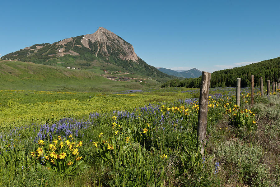 Mount Crested Butte Early Evening Summer Photograph by Cascade Colors