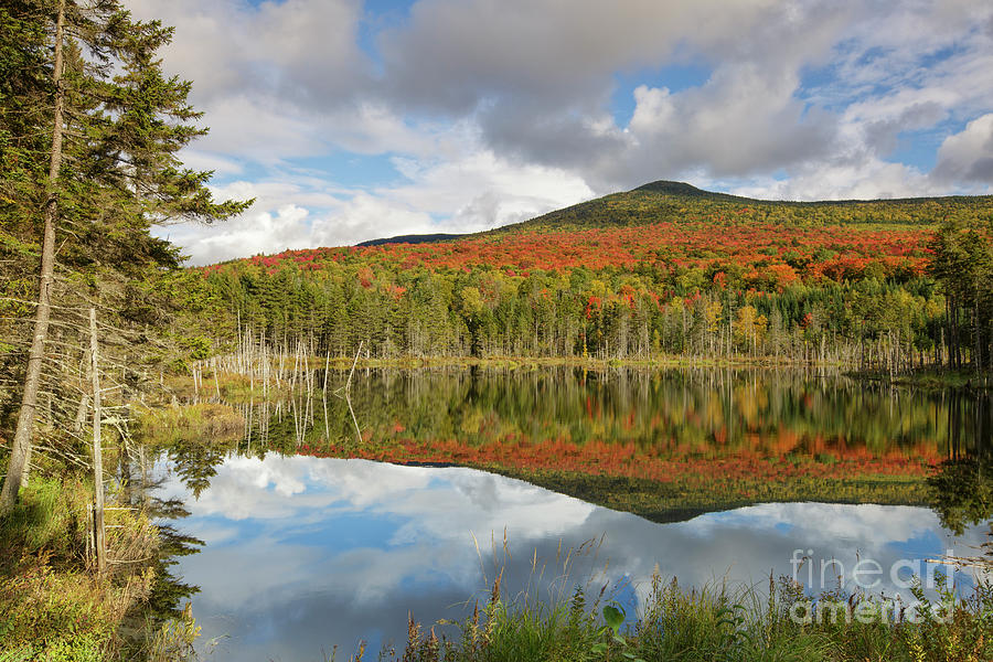 Nature Photograph - Mount Deception - Carroll New Hampshire by Erin Paul Donovan