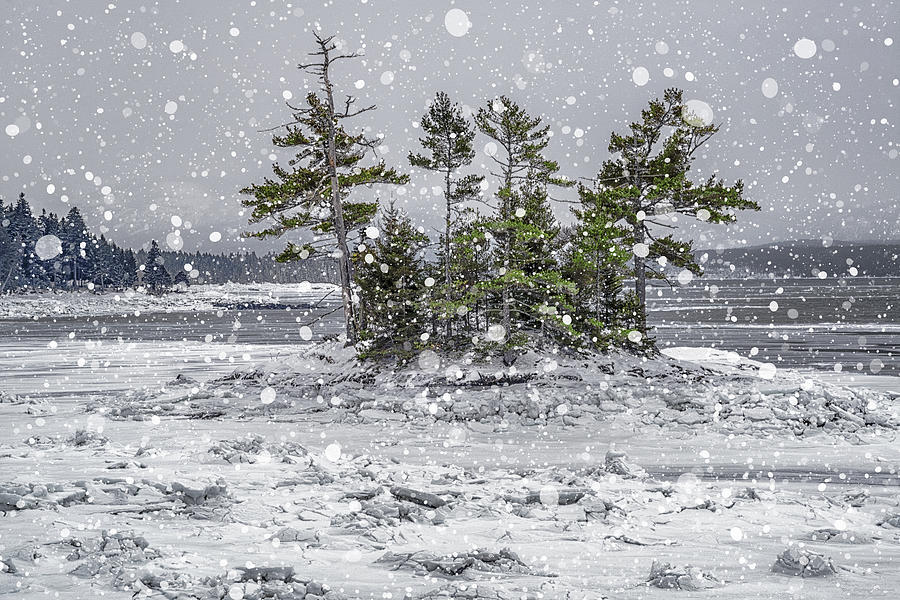 Landscape Photograph - Mount Desert Narrows Snowscape by Marty Saccone