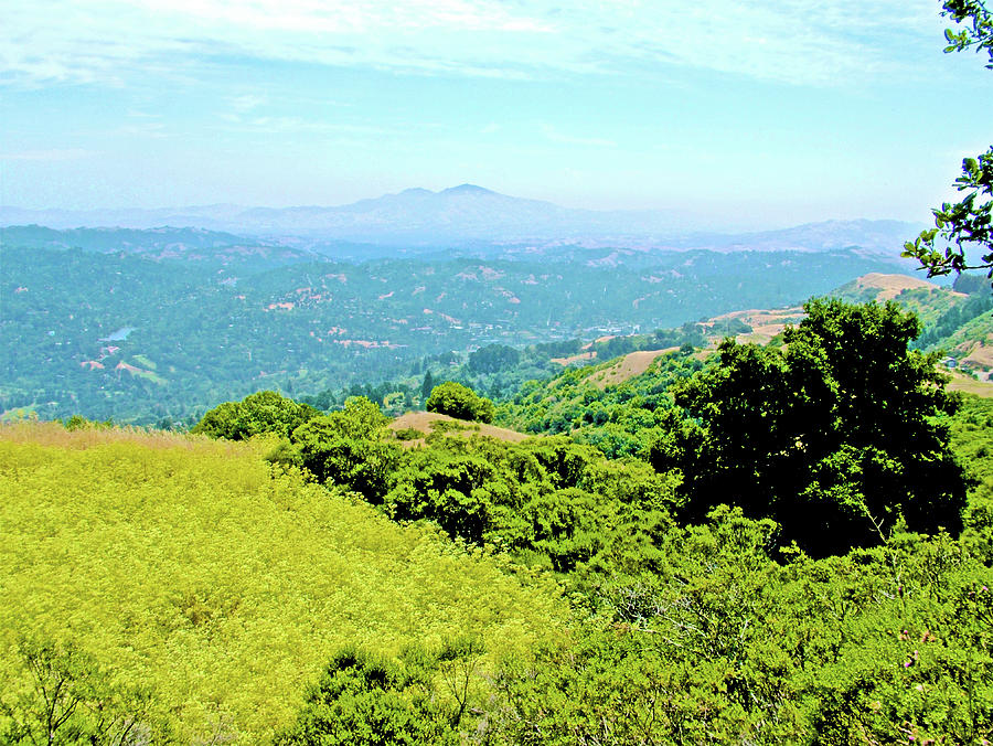 Mount Diablo from Tilden Regional Park, California Photograph by Ruth Hager