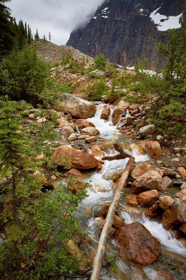 Mount Edith Cavell Stream 1 Photograph by David Beebe