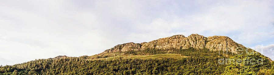 Mount Farrell Regional Reserve In Western Tasmania Photograph