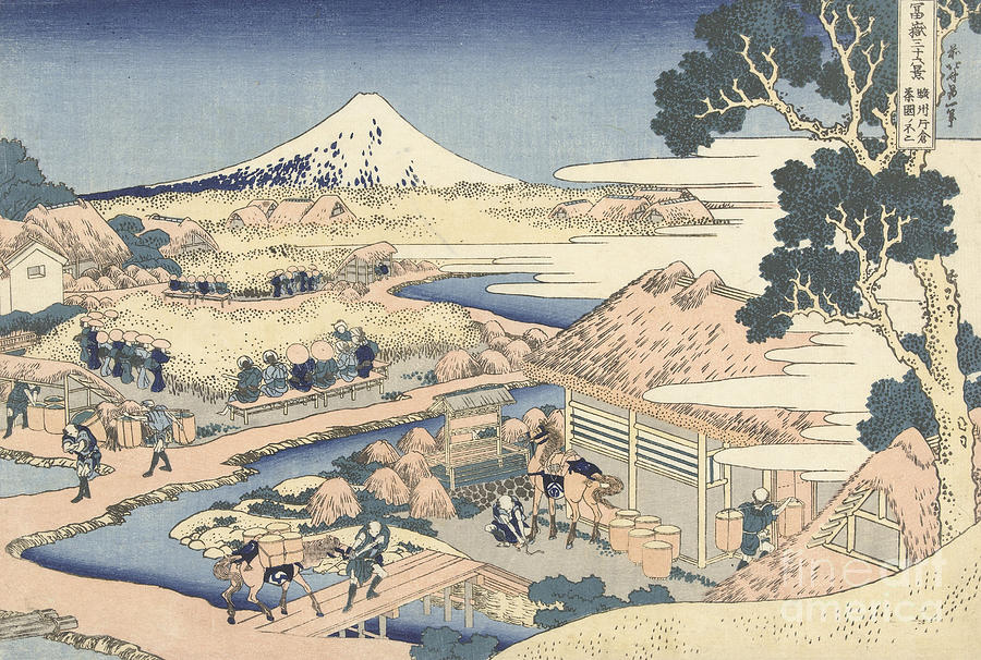 Mount Fuji from Katakura tea garden Painting by Hokusai