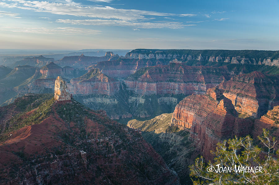 Grand Canyon National Park Photograph - Mount Hayden by Joan Wallner