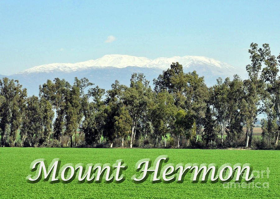 Mount Hermon Photograph by Lydia Holly