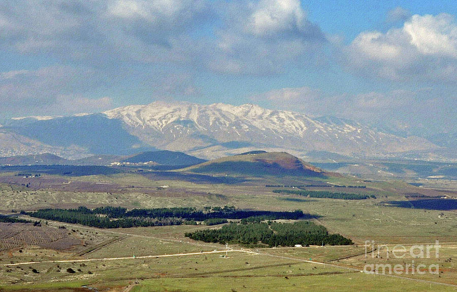 Mount Hermon No.2 Photograph by Lydia Holly