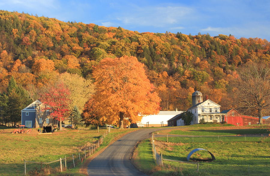 Mount Holyoke Range and Longview Farm in Autumn Photograph by John Burk