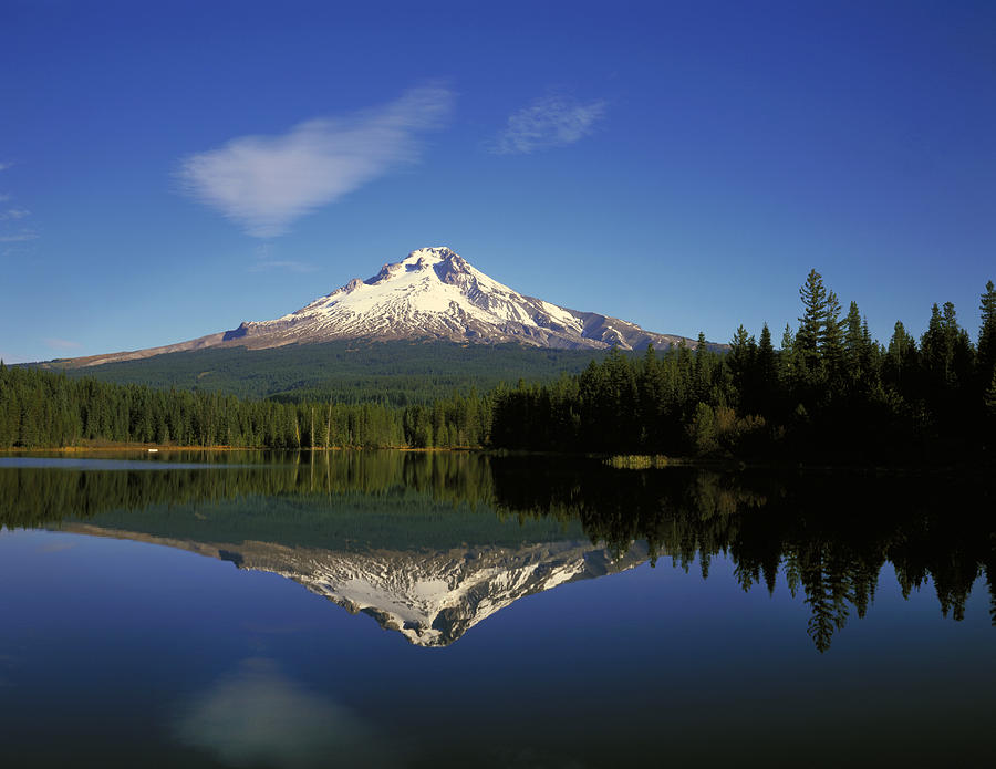 Mount Hood And Trillium Lake, Oregon Photograph by Buddy Mays - Pixels