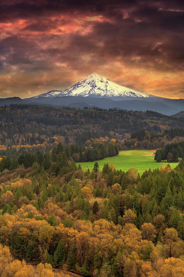 Mount Hood at Sandy River Valley in Fall Photograph by David Gn