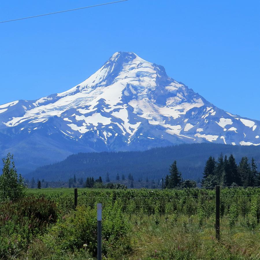 Mount Hood Country Photograph by Jeanette Oberholtzer
