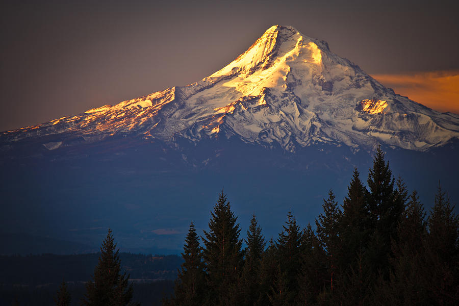 Nature Photograph - Mount Hood from the north by Ed Book