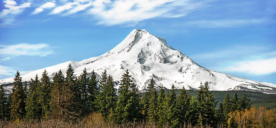 Mount Hood Photograph by Gordon Ripley