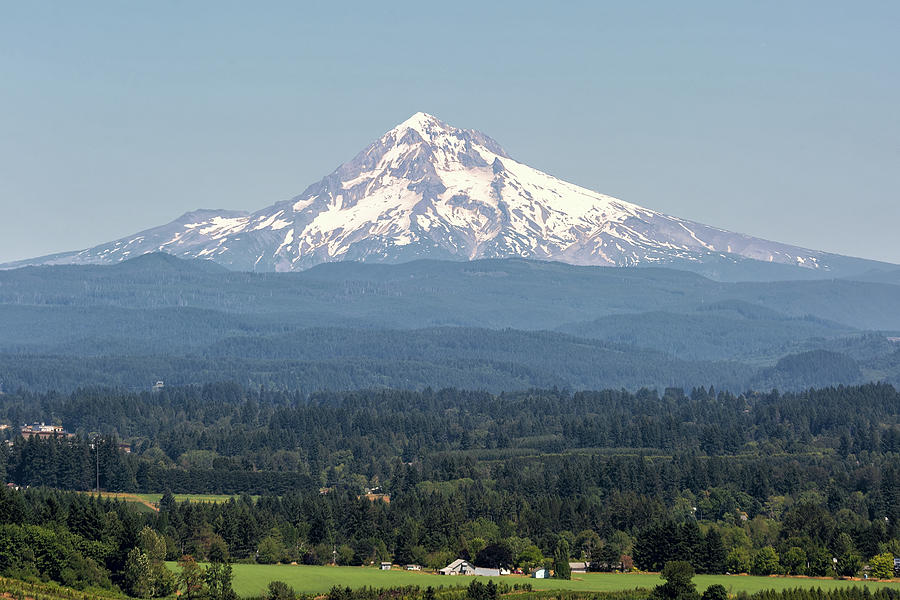 Mount Hood in the Summer Photograph by David Gn