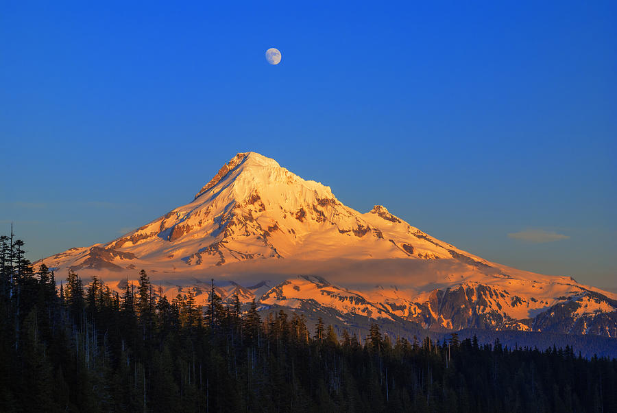 Mount Hood last light in Oregon USA Photograph by Vishwanath Bhat