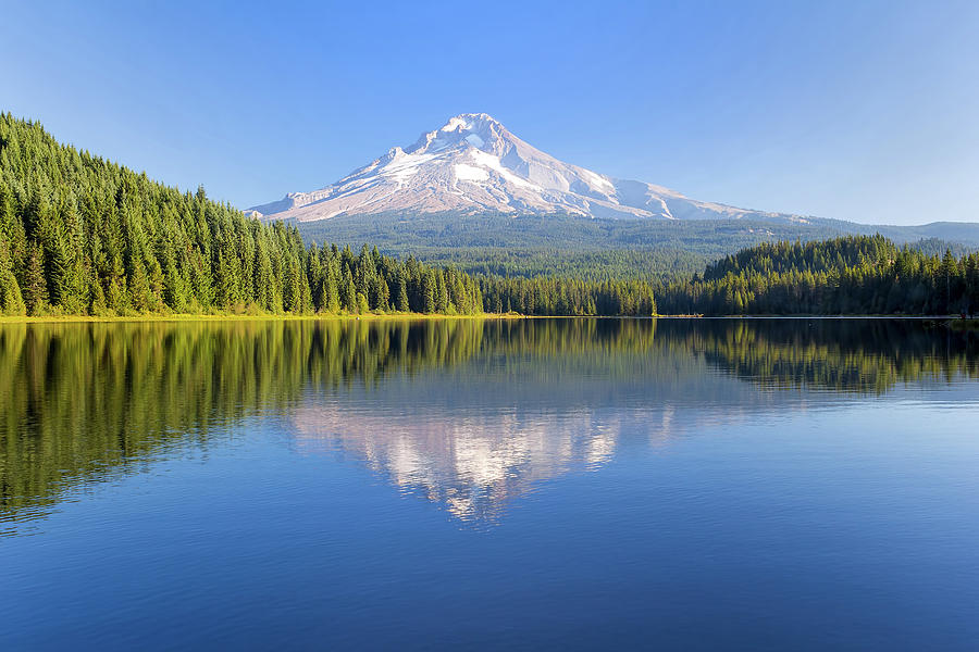 Mount Hood on a Sunny Day Photograph by David Gn