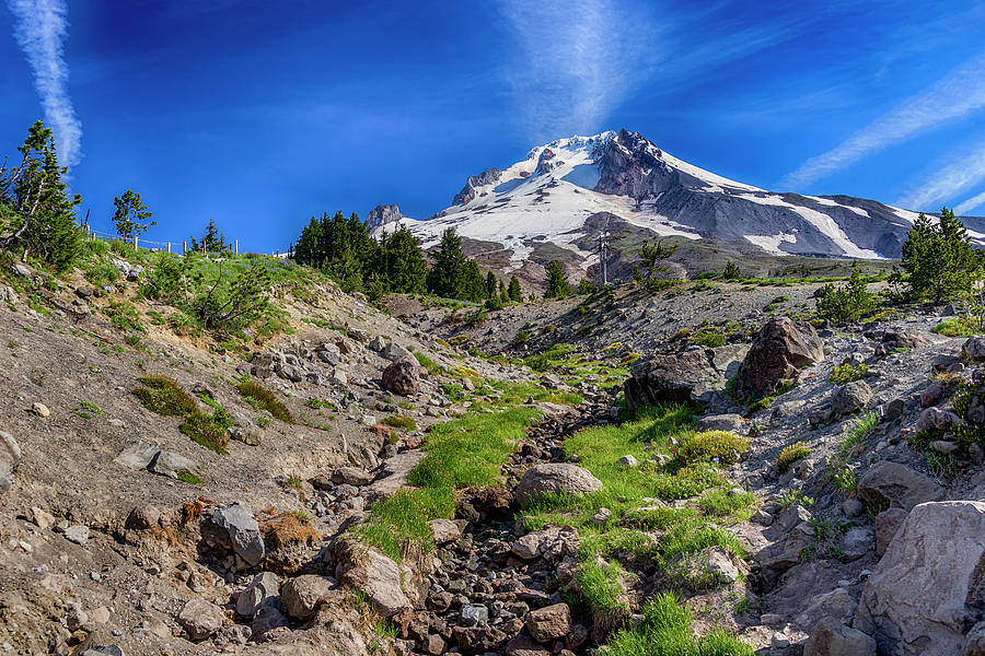 Mount Hood Oregon DSC05480  Photograph by Greg Kluempers