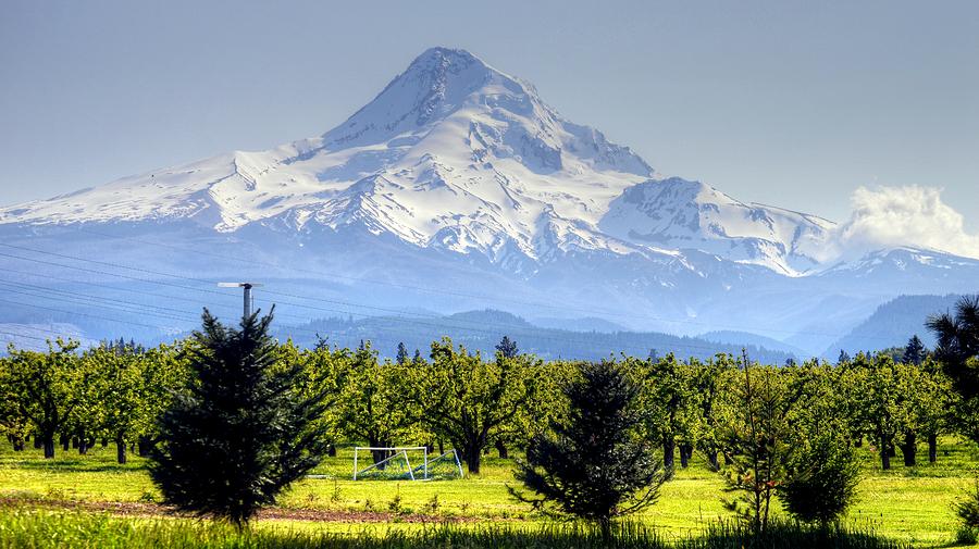 Mount Hood Oregon USA Photograph by Paul James Bannerman