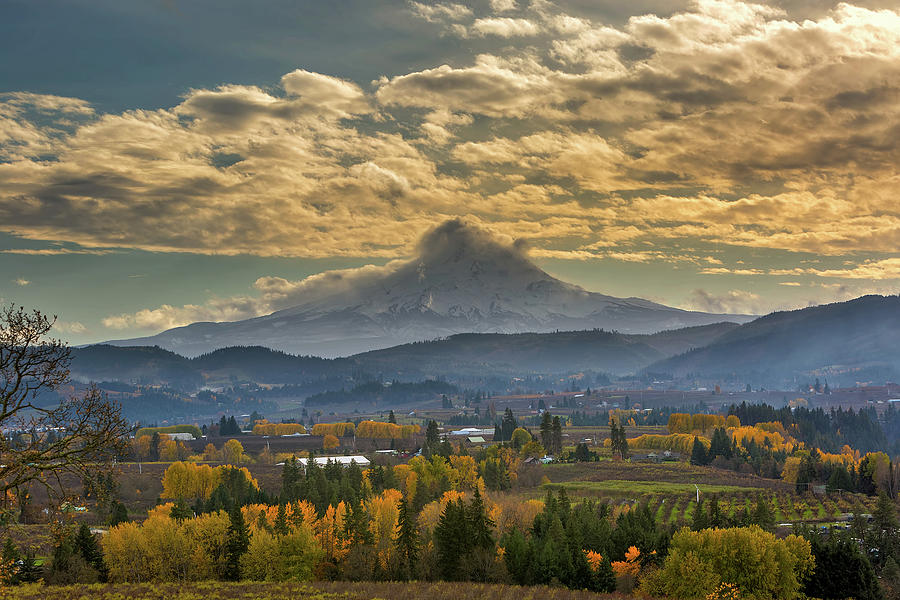 Mount Hood Over Farmland in Hood River in Fall Photograph by David Gn