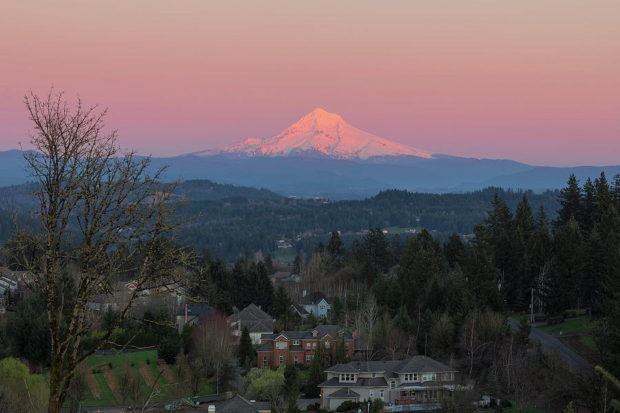 Mount Hood Over Happy Valley Oregon Photograph by David Gn