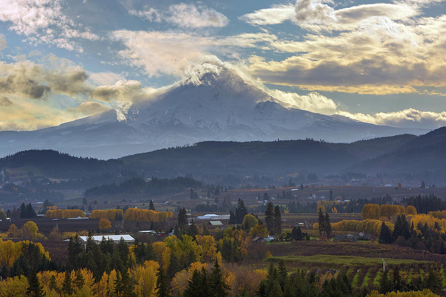 Mount Hood over Hood River Valley in Fall Photograph by David Gn