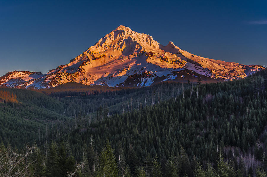 Mount Hood Sunset Photograph by John Trax