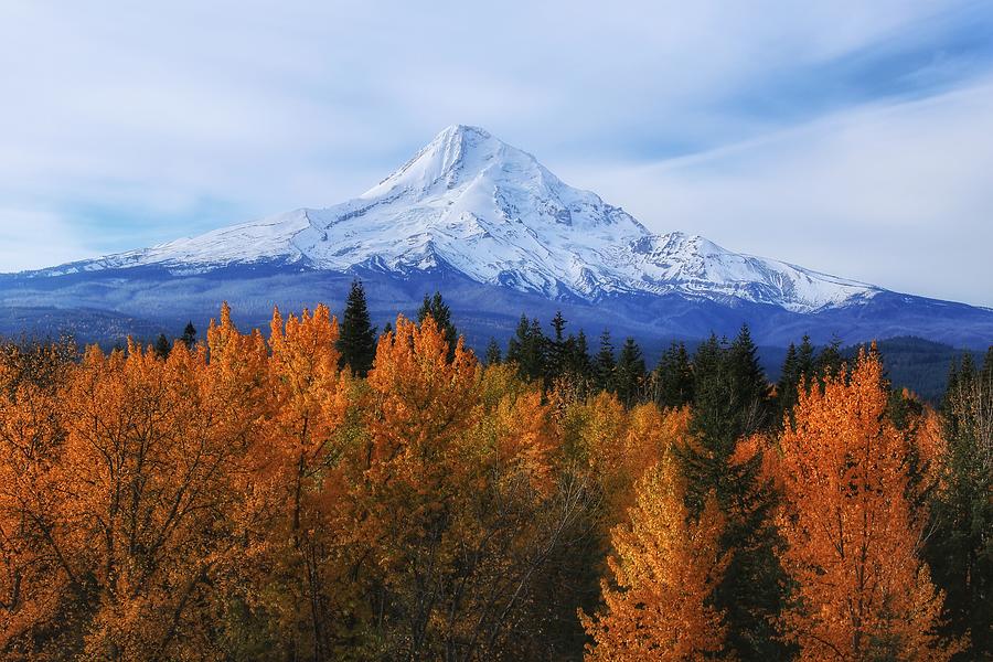 Mount Hood with Fall colors  Photograph by Lynn Hopwood