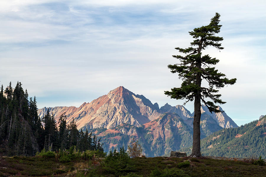 Mount Larrabee in the North Cascades Photograph by Michael Russell