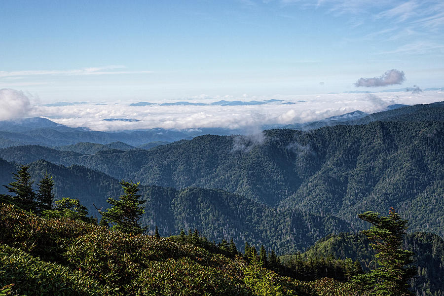 Mount LeConte Morning Photograph by Jemmy Archer