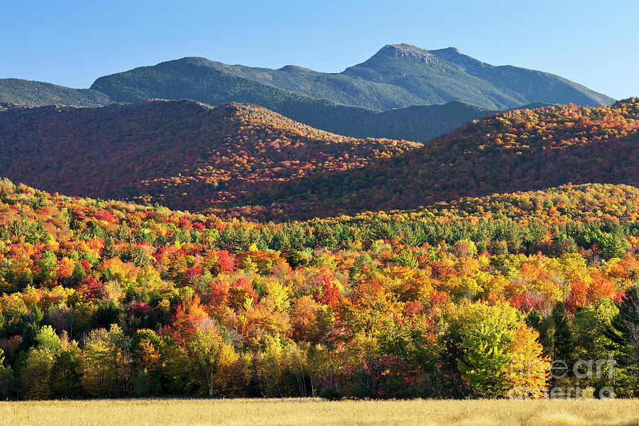 Mount Mansfield Fall Photograph by Alan L Graham