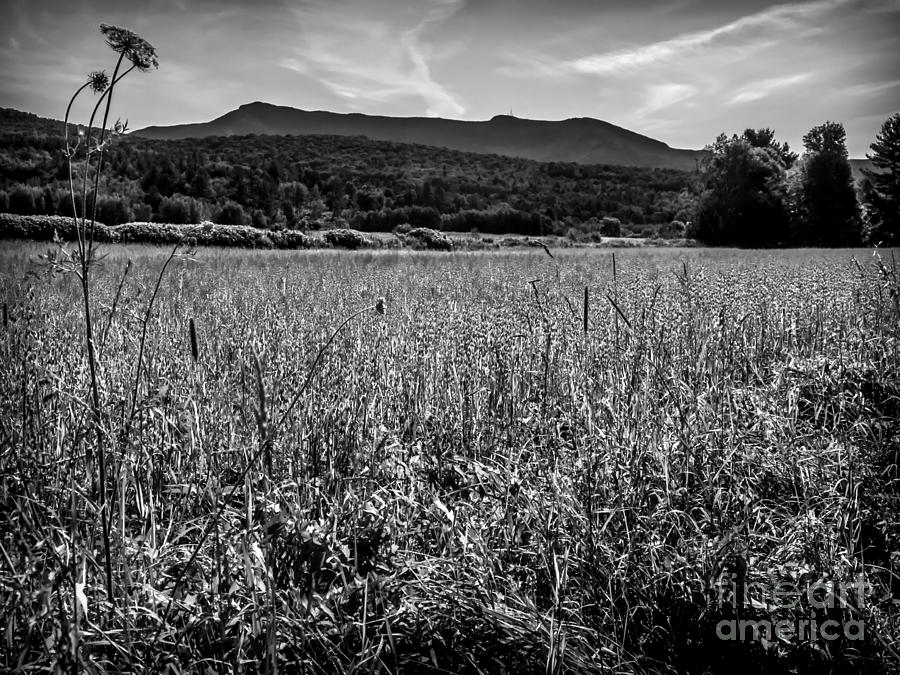 Mount Mansfield in Black and White Photograph by James Aiken