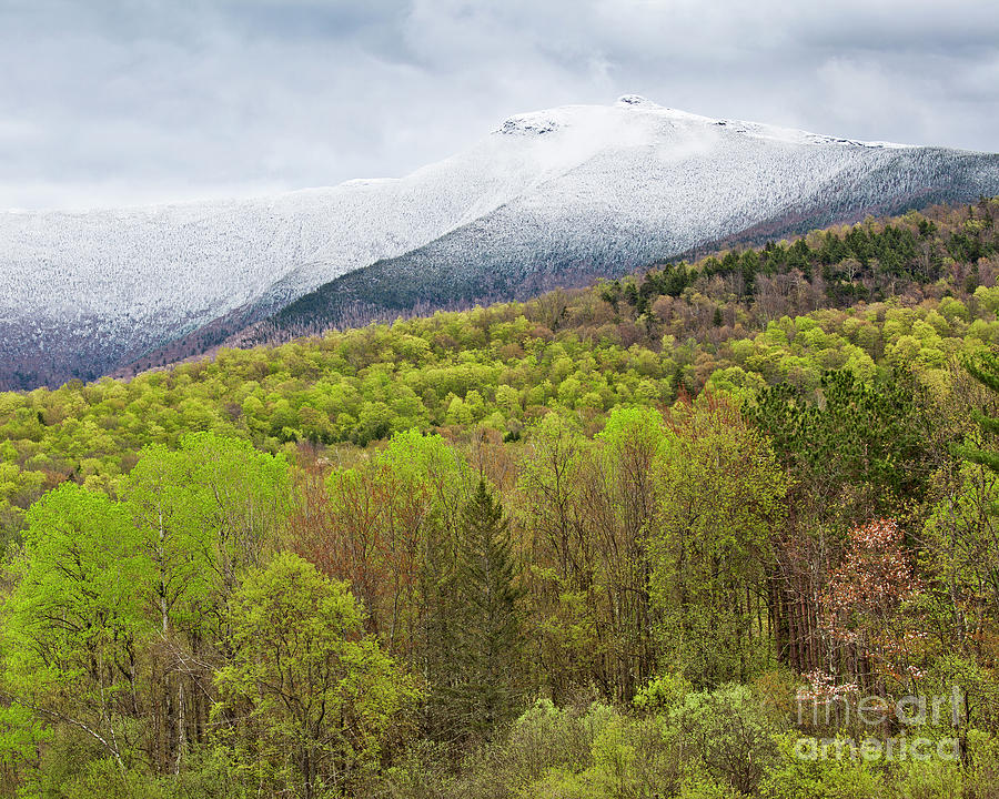 Mount Mansfield Spring Snow Photograph by Alan L Graham