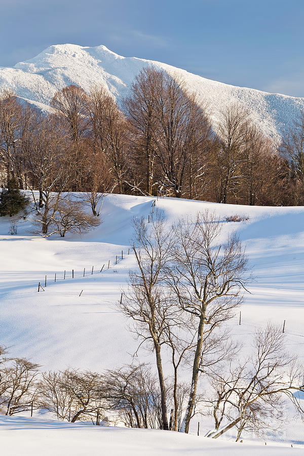 Mount Mansfield Winter Landscape 2 Photograph by Alan L Graham