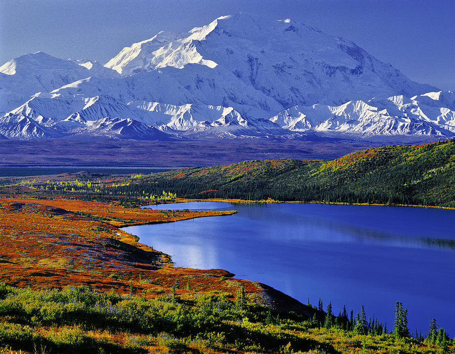 Denali National Park Photograph - Mount McKinley and Wonder Lake Campground in the Fall by Tim Rayburn