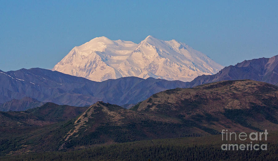 Mount McKinley Photograph by Robert Pilkington