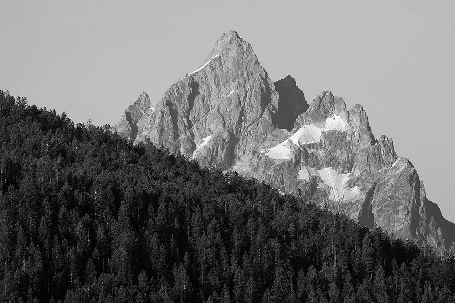 Mount Moran and Pine Trees - monochrome - Black and white Photograph by Ram Vasudev
