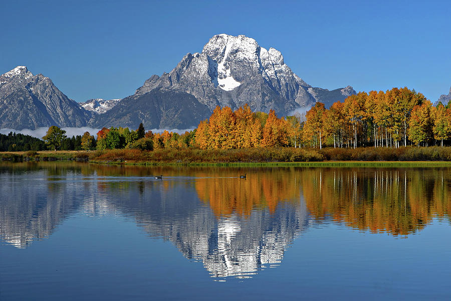 Mount Moran Photograph by Ronnie And Frances Howard