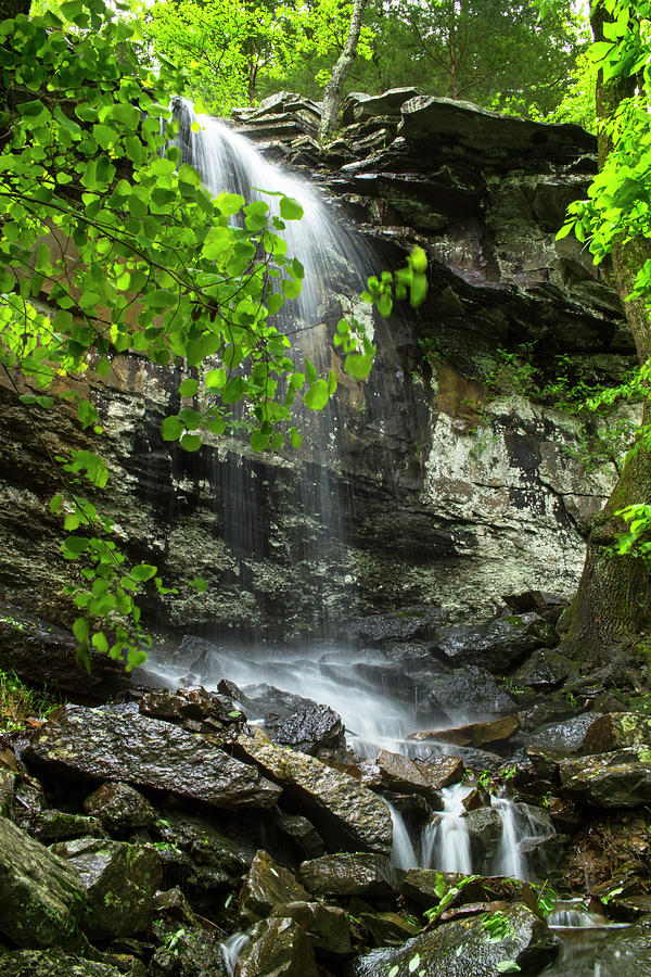 Mount Nebo Waterfall Photograph by Tammy Chesney