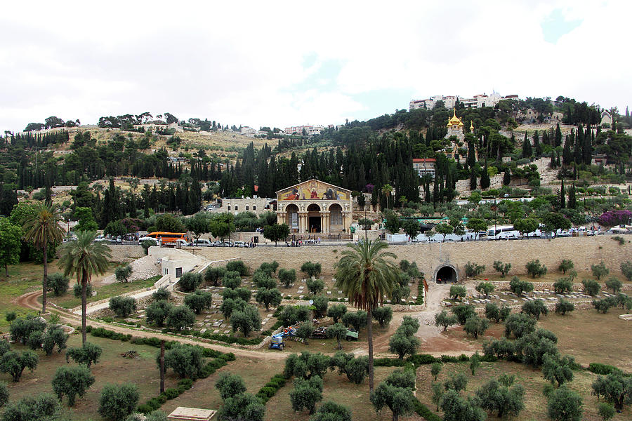 Mount of Olives Churches Photograph by Munir Alawi