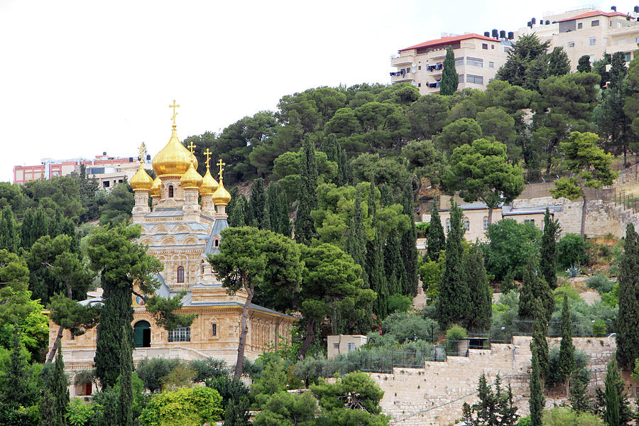Mount of Olives Yellow Domes Photograph by Munir Alawi
