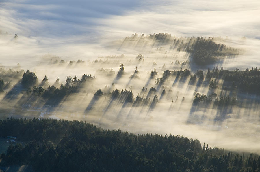 Mount Prevost Fog Photograph by Kevin Oke