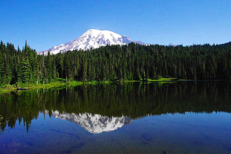 Mount Rainer reflecting into Reflection lake Photograph by Jeff Swan