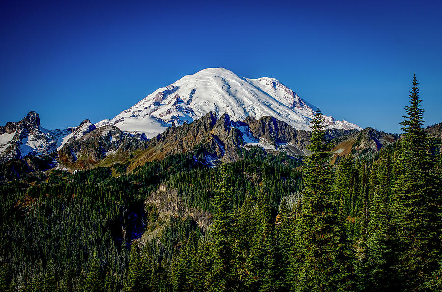Mount Rainier - Eastside Photograph by Michael Sedam - Pixels
