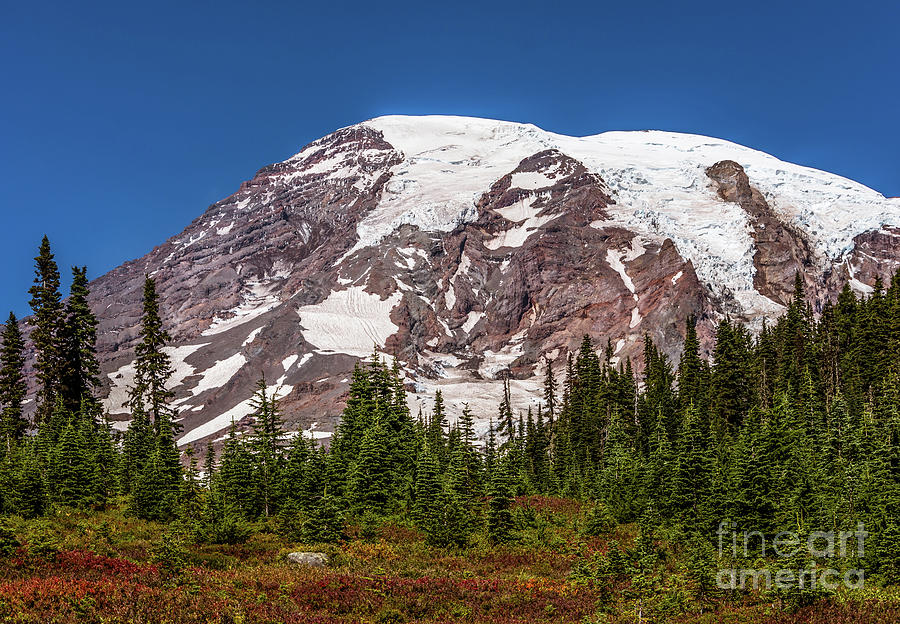 Nature Photograph - Mount Rainier 11 by Marv Vandehey