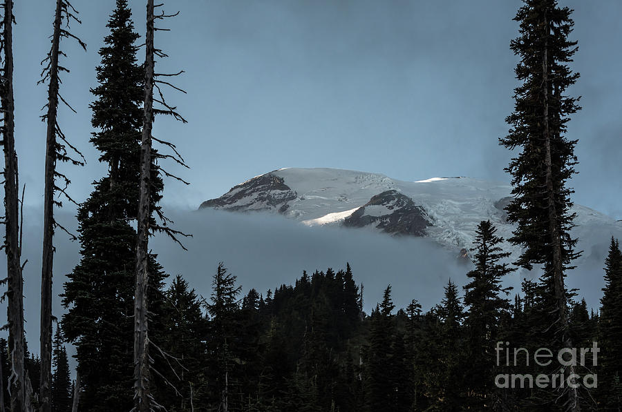 Mount Rainier 8 Photograph