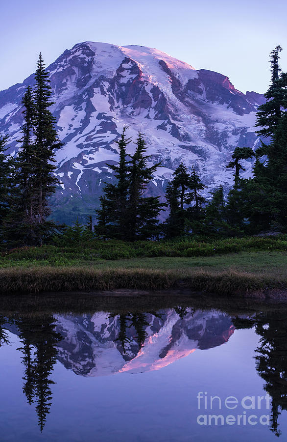 Mount Rainier Alpenglow Reflection Photograph by Mike Reid